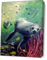 Sea Lions As Canvas