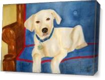Yellow Labrador Puppy As Canvas