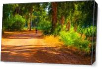 A Photograph Of A Road In Summer Park As Canvas