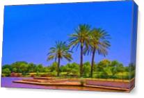 Palm Trees By The Lake As Canvas
