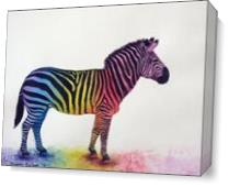 Rainbow Zebra As Canvas