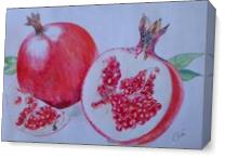 Pomegranate As Canvas