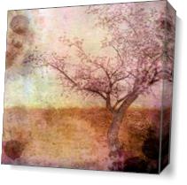 Cherry Blossom Pink As Canvas