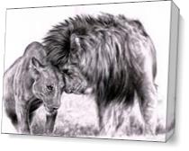 Lion_in_love__by_skytteole D4dsk69 As Canvas