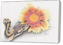 Snake And Flower - Gallery Wrap