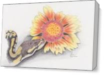 Snake And Flower As Canvas