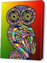 Owl As Canvas