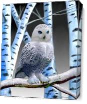 Blue-eyed Snow Owl As Canvas