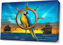 Macaw Pirate Parrot As Canvas