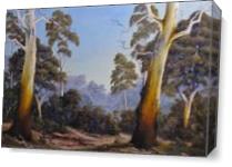 THE SCENT OF GUMTREES 70x60cm 2650 2 Copy As Canvas