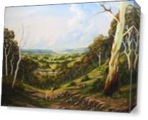 The Lost Sheep In The Scrub - Gallery Wrap Plus