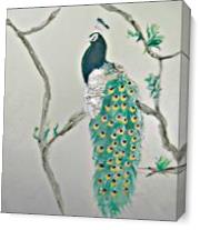 Peacock In The Morning As Canvas