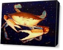 Crab In Space As Canvas
