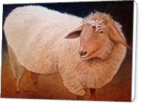 Shaggy Sheep - Standard Wrap