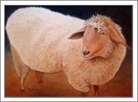 Shaggy Sheep - No-Wrap
