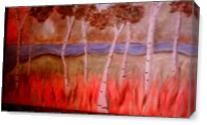 Birches With Flame Grass As Canvas
