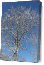 Shimmering Tree - Gallery Wrap Plus