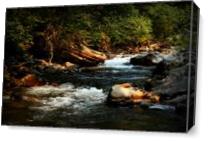 Isabella Creek As Canvas