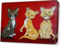 Two Ginger Cats And A Tabby Cat As Canvas