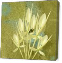 Butterfly Orchid Large As Canvas
