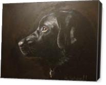 Black Labrador - Gallery Wrap