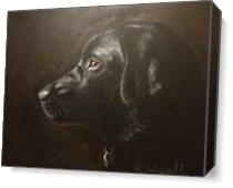Black Labrador - Gallery Wrap Plus