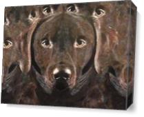 Chocolate Labrador Abstract As Canvas