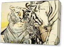 Affection Between Tigers As Canvas