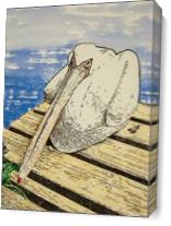 Pelican Resting As Canvas