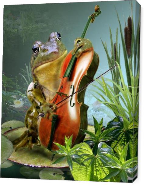 Frog Playing Cello In Lily Pond