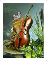 Frog Playing Cello In Lily Pond - No-Wrap