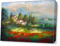 Italian Poppyfield As Canvas