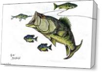 Big Bass and Bluegill Fishing  Original Drawing As Canvas