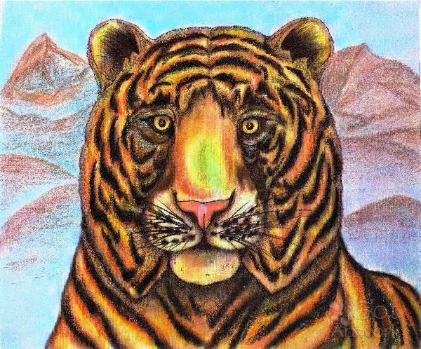 Bengaled Tiger Original Drawing