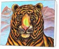 Bengaled Tiger Original Drawing - Standard Wrap
