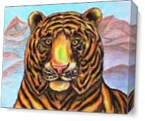 Bengaled Tiger Original Drawing As Canvas