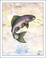 The Majestic Rainbow Trout Original Drawing - No-Wrap