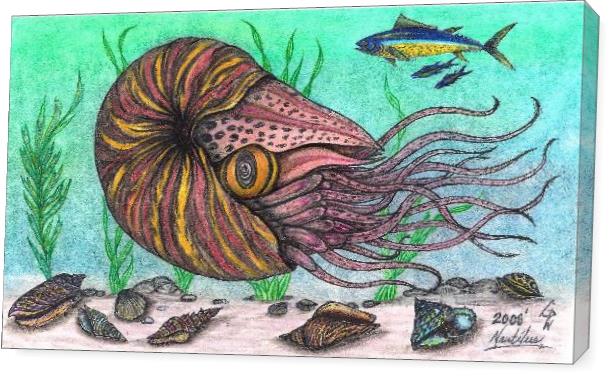 The Legendary Nautilus Sea Creature