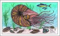 The Legendary Nautilus Sea Creature - No-Wrap