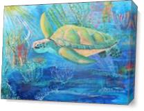 Sea Turtle Swim As Canvas