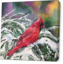 Winter Cardinal As Canvas