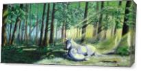Mother In The Forest As Canvas