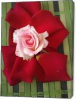 Bamboo Rose - Gallery Wrap