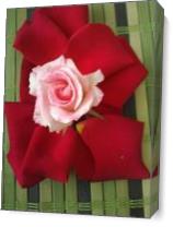 Bamboo Rose As Canvas