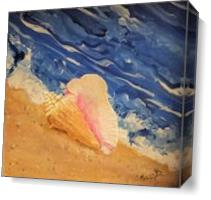 Tybee Island Conch Seashell As Canvas