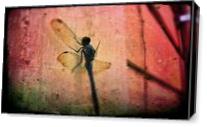 Dragonfly In Pink Hue As Canvas