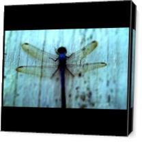 Blue Dragonfly As Canvas