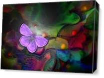 ButterflyFly As Canvas