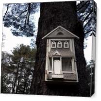 House On Tree - Gallery Wrap Plus