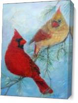 Cardinal Pair As Canvas